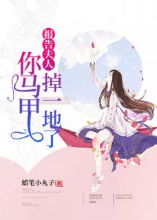 【报告夫人，你马甲掉一地了】小说在线阅读-报告夫人，你马甲掉一地了免费版目录阅读全文