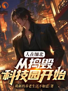 爆款热文韩潇吴焱在线阅读-人在缅北，从捣毁科技园开始全章节列表