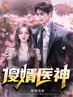 值得熬夜看完的傻婿医神小说阅读