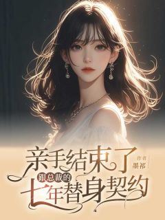 亲手结束了跟总裁的七年替身契约陆京泽林婉-小说未删减阅读-二筒文学网