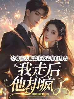 [抖音]小说时宴思雨分娩当天他丢下我去陪白月光，我走后他却疯了-二筒文学网