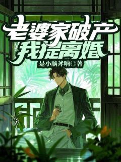 抖音爆款老婆家破产，我提离婚完整小说（全文阅读）