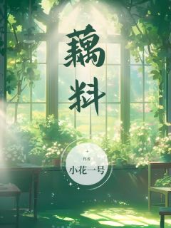 藕料李小花向春燕免费全章节目录阅读