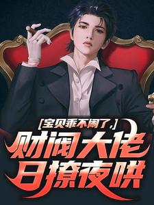 抖音宝贝乖不闹了，财阀大佬日撩夜哄txt小说阅读-二筒文学网