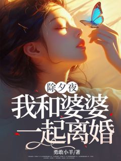 高质量小说除夕夜，我和婆婆一起离婚在线试读