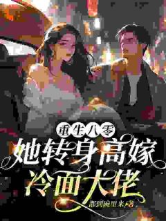 重生八零：她转身高嫁冷面大佬小说顾予安沈书黎免费阅读-二筒文学网