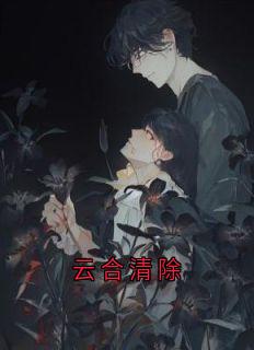 抖音小说云合清除苏心语谷飞夏全文txt-二筒文学网