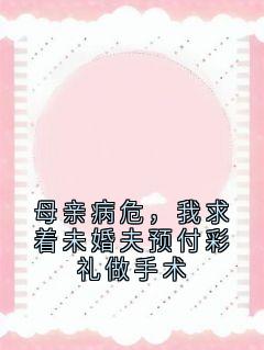 母亲病危，我求着未婚夫预付彩礼做手术[抖音]小说-林婉江墨寒沈妍无删减阅读-二筒文学网