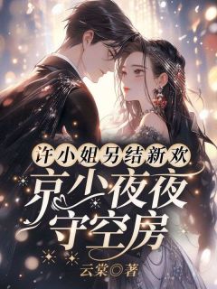 许愿傅京礼番外篇未删减阅读