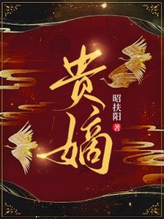 主角张汐音周易宏小说，张汐音复仇免费阅读全文