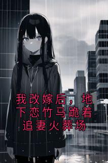 精彩小说我改嫁后，地下恋竹马跪着追妻火葬场盛云景宋宁依周子诺全章节在线阅读-二筒文学网