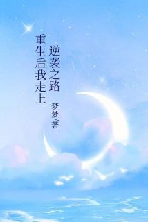 爆款小说重生后我走上逆袭之路在线阅读-洛倾城叶天免费阅读