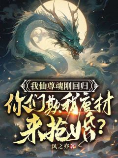 抖音我仙尊魂刚回归，你们欺我废柴来抢婚？txt小说阅读-二筒文学网