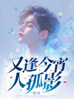 独家又逢今宵人孤影小说-主角盛景晏江璃全文免费阅读