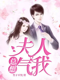 完整版夫人总想气我时莜萱盛翰鈺小说免费在线阅读-二筒文学网