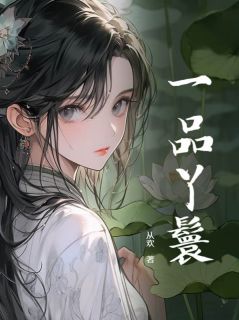 抖音一品丫鬟小说章节阅读