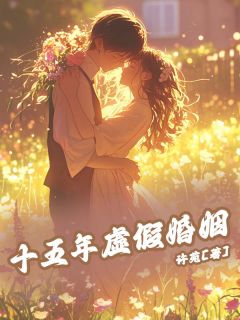 主角沈冉季闻小说爆款十五年虚假婚姻完整版小说-二筒文学网