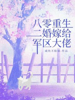 新上八零重生，二婚嫁给军区大佬咸鱼不粘锅小说免费阅读-二筒文学网