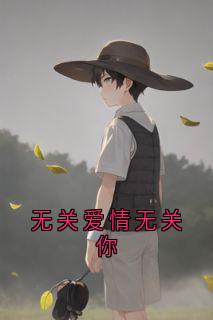 主角是陆云洲白婉的小说-无关爱情无关你完整章节阅读-二筒文学网