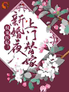 爆款小说权宠医妃：新婚夜上门替嫁在线阅读-叶倾尘慕容夜免费阅读-二筒文学网