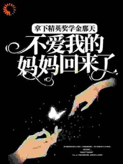 拿下精英奖学金那天，不爱我的妈妈回来了完整版-陆冉陆枫在线全文阅读