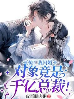 惊！我闪婚对象竟是千亿总裁！无弹窗在线阅读