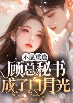 好看的不愿重逢，顾总秘书成了白月光小说-不愿重逢，顾总秘书成了白月光最新章节阅读
