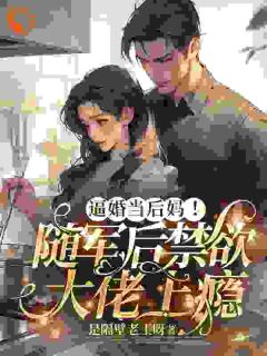 逼婚当后妈！随军后禁欲大佬上瘾by是隔壁老王呀免费阅读小说大结局-二筒文学网