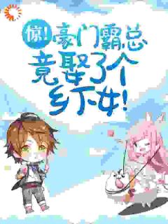 正版小说惊！豪门霸总竟娶了个乡下女！洛婉盛擎在线免费阅读-二筒文学网