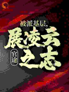 官途：被派基层，展凌云之志[抖音]小说-楚昊宇林若雪无删减阅读-二筒文学网