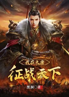 李简李世民主角的小说完结版我在大唐征战天下全集