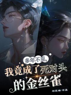 爆款小说多年不见，我竟成了死对头的金丝雀在线阅读-时愿沈言免费阅读-二筒文学网