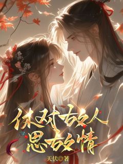 休对故人思故情免费小说作者天伏全文阅读