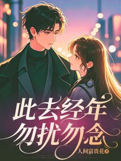 （全本）此去经年勿扰勿念主角江诗可沈清淮全文目录畅读-二筒文学网
