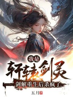 我是轩辕剑灵，剑解重生后杀疯了轩辕长汀大结局小说全章节阅读