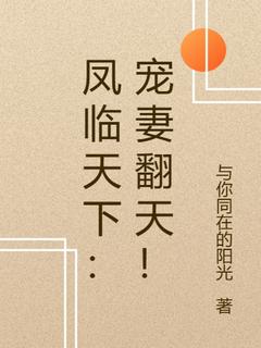 精品小说凤临天下：宠妻翻天！全文目录畅读