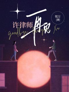 秦亦乔许泽言小说章节目录阅读-许律师，再见在哪免费看