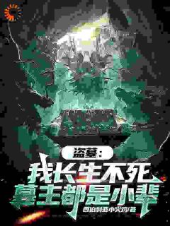 盗墓：我长生不死，墓主都是小辈(全章节)-陈玄霍湘云在线阅读