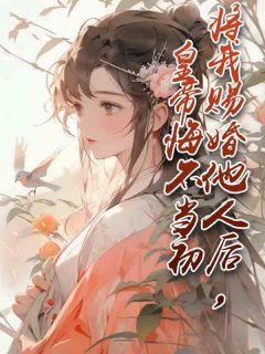 宁安萧岐小说结局-二筒文学网