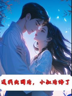 送我出国后，小叔后悔了无广告阅读 凌夕颜顾裴司免费在线阅读-二筒文学网