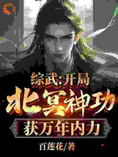 (独家)朱文轩穿越到综武世界朱文轩段正淳小说