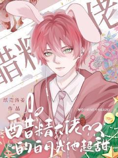 第1章我们结婚吧林洛在线全文阅读-主人公林洛齐昀笙小说