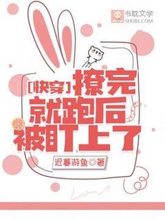 ［快穿］撩完就跑后被盯上了小说的书名是什么-二筒文学网