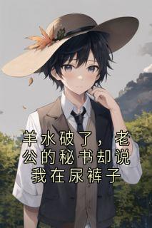 贺宴安乔舒杨莉莉主角抖音小说羊水破了，老公的秘书却说我在尿裤子在线阅读