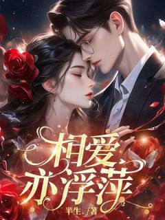 顾若琛苏禾岑时安相爱亦浮萍全章节免费阅读