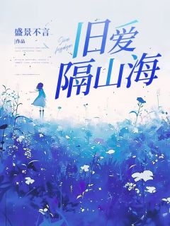 辛怡陆鸣全本章节在线阅读大结局-二筒文学网