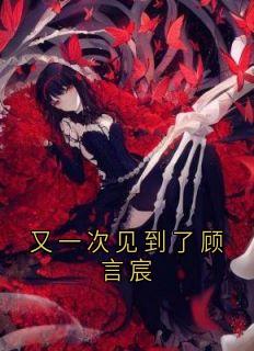 优质新书又一次见到了顾言宸最新章节小说全文阅读-二筒文学网