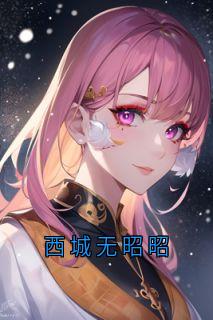 小说西城无昭昭主角为许西城林昭李念念免费阅读-二筒文学网