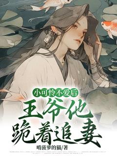 秦赴年虞凛小说<小可怜不爱后，王爷他跪着追妻>全文在线阅读