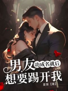 男友功成名就后，想要踢开我快手热推傅子言韩星辰南桑雪免费阅读-二筒文学网